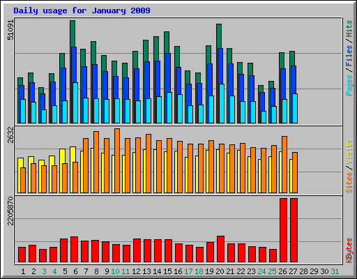Daily usage for January 2009