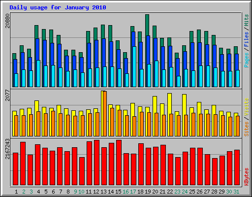 Daily usage for January 2010