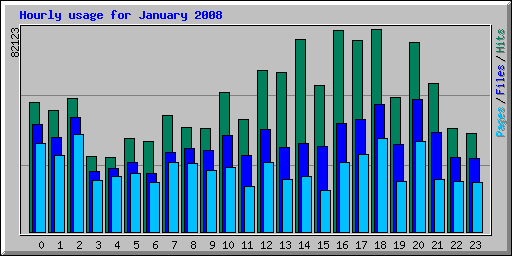 Hourly usage for January 2008