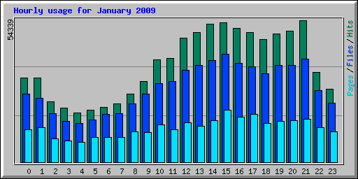 Hourly usage for January 2009
