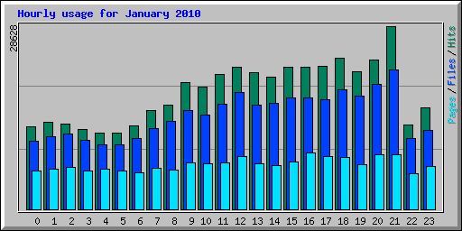Hourly usage for January 2010