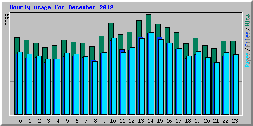 Hourly usage for December 2012