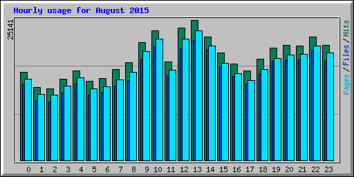 Hourly usage for August 2015