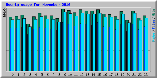 Hourly usage for November 2016